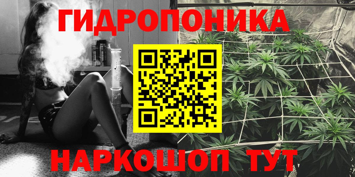 Конопля гибрид Йошкар-Ола